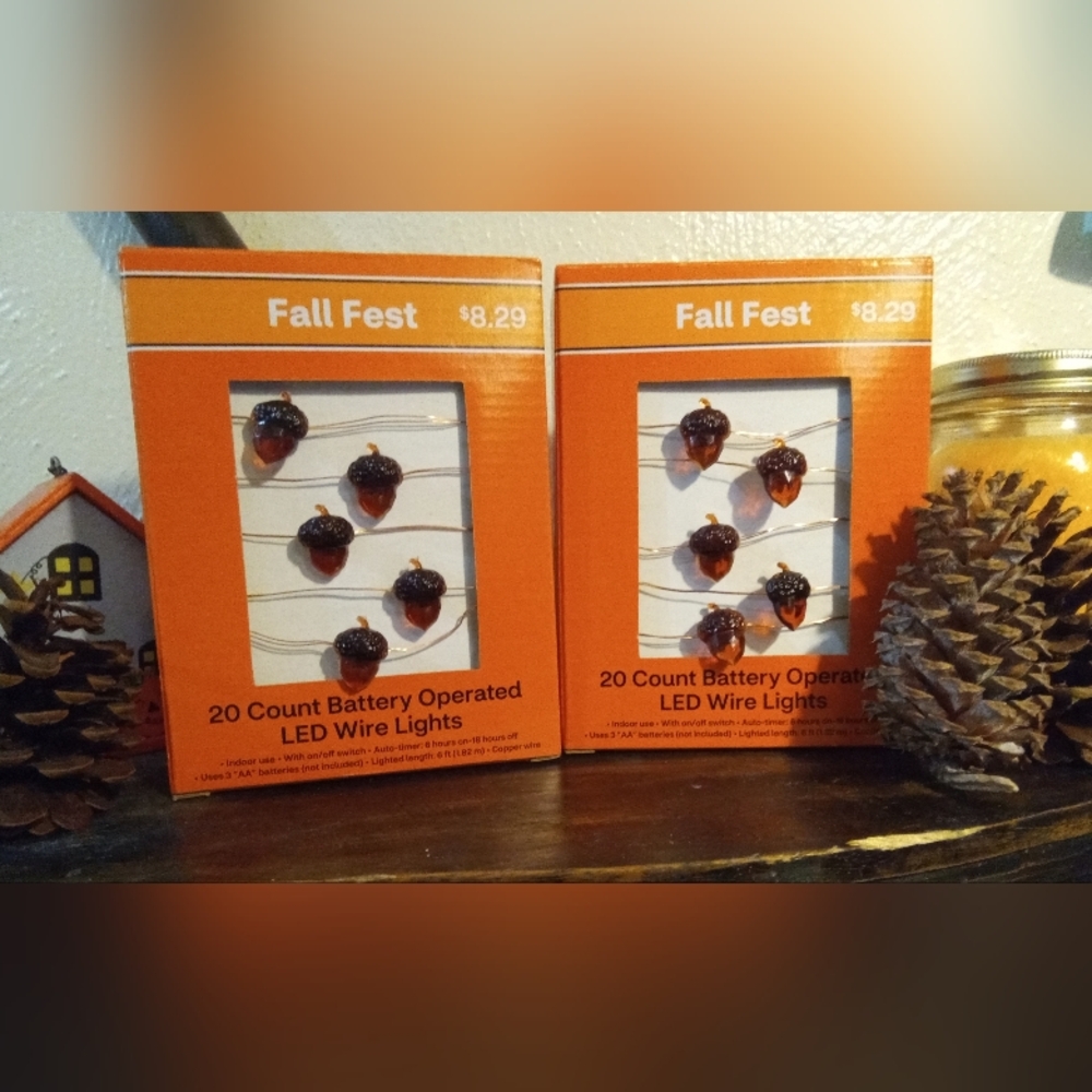 🌰 NIB Set of 2 Adorable Acorn LED Wire Lights 🌰 Auto-Timer 🌰 Battery Operated